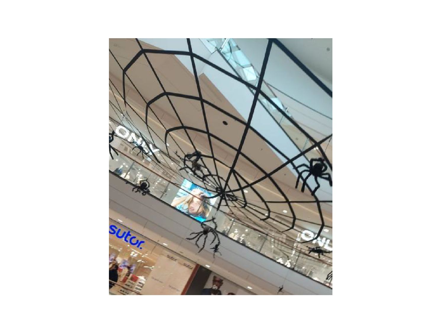 XXL Spinnennetz mit Spinnen