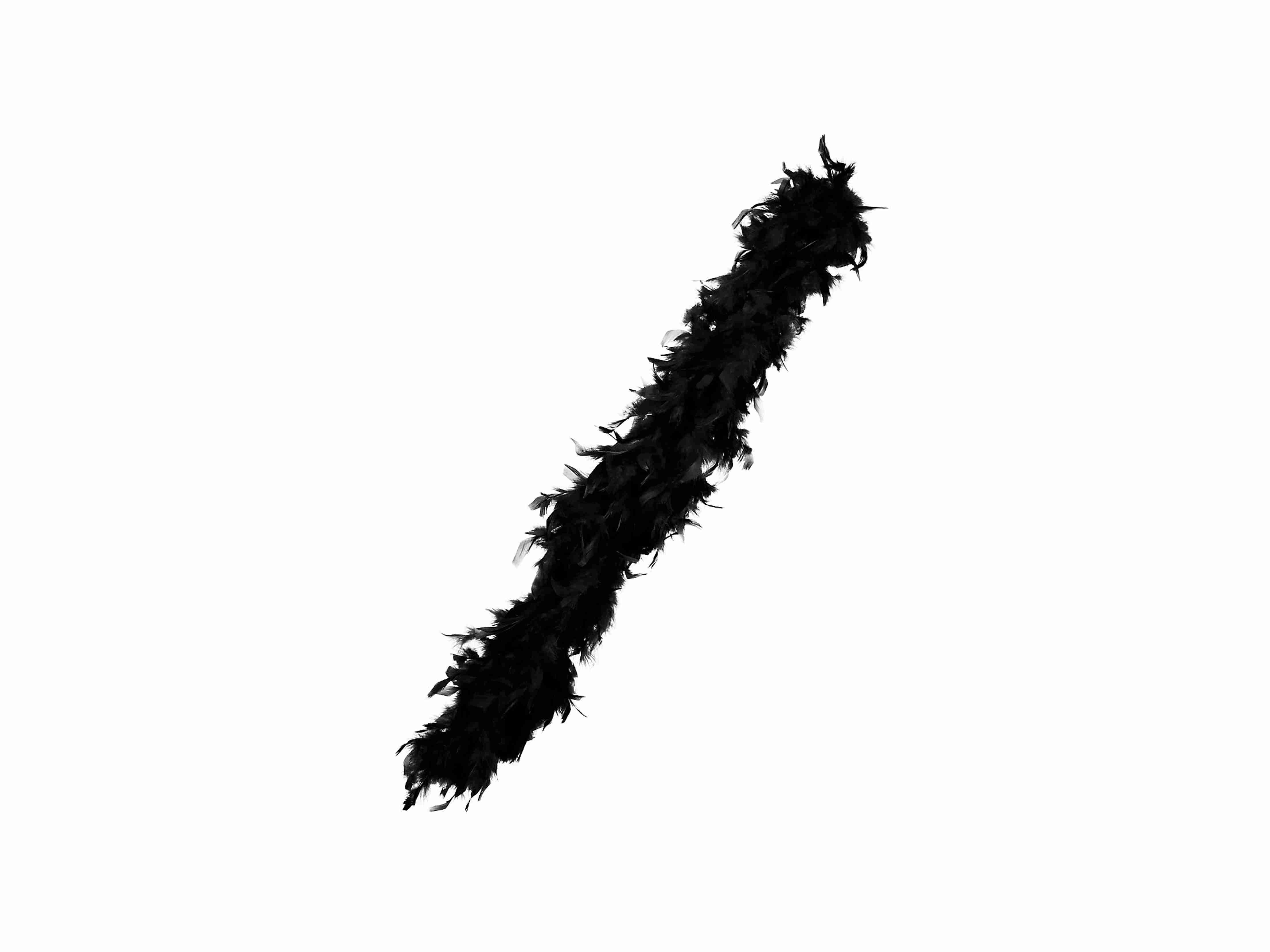 Federboa schwarz klein