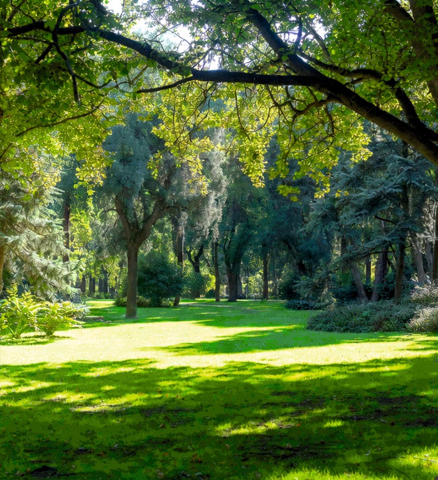 Druck: "Parklandschaft"