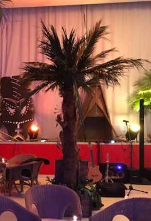 Tropische Dekoration in einem Festzelt: Künstliche Dekopalmen vor einer bunt beleuchteten Bühne und gemütlichen Sesseln im Vordergrund.